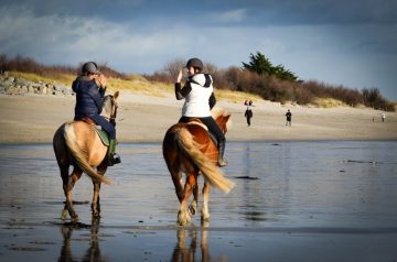 kerguelen-equitation